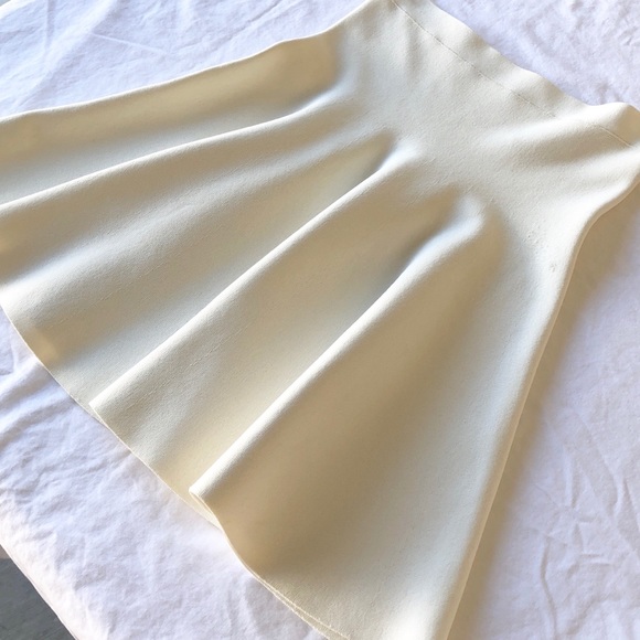 Gardenia BCBG A-Line Skirt - Picture 1 of 5